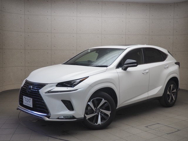 NX300 スパイク&シック