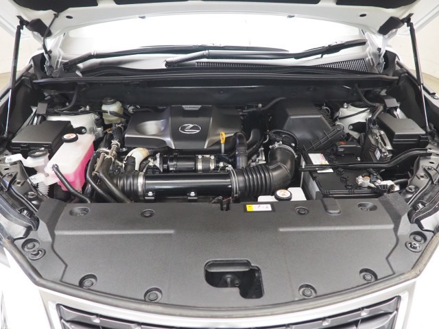 レクサス NX300 スパイク&シック