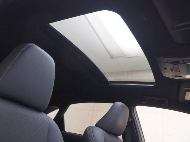 レクサス NX300 スパイク&シック