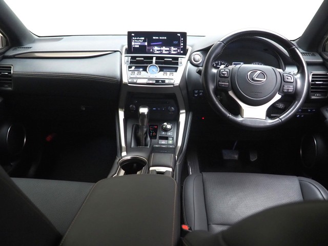 レクサス NX300 スパイク&シック