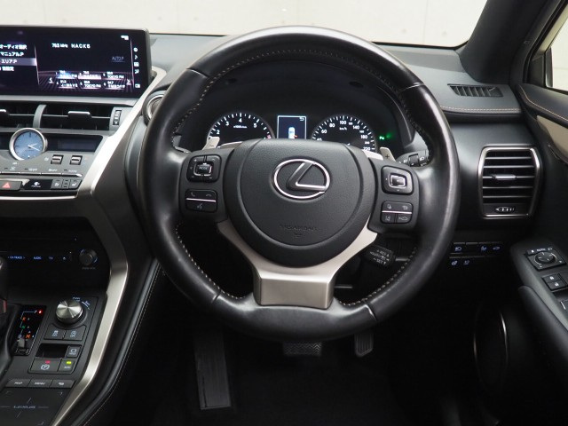 レクサス NX300 スパイク&シック