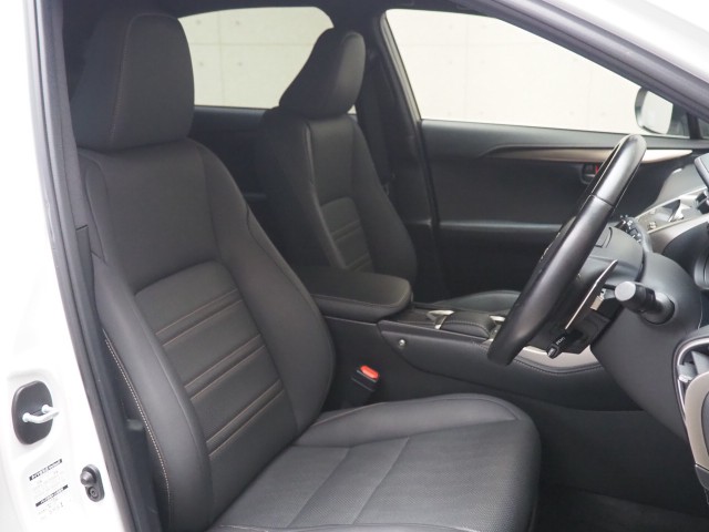 レクサス NX300 スパイク&シック