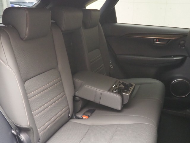 レクサス NX300 スパイク&シック