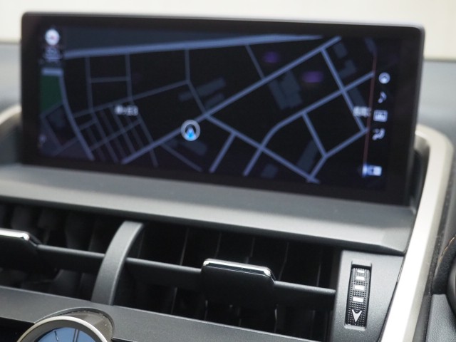 レクサス NX300 スパイク&シック