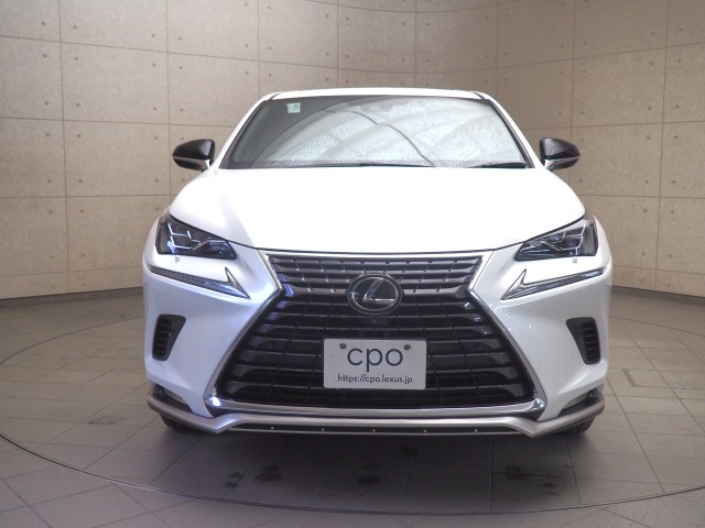 レクサス NX300 スパイク&シック