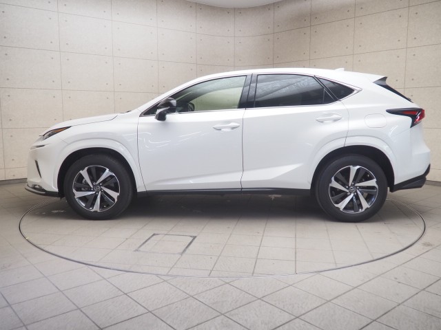 レクサス NX300 スパイク&シック