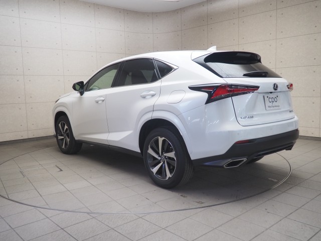 レクサス NX300 スパイク&シック