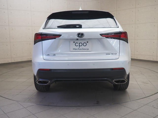 レクサス NX300 スパイク&シック