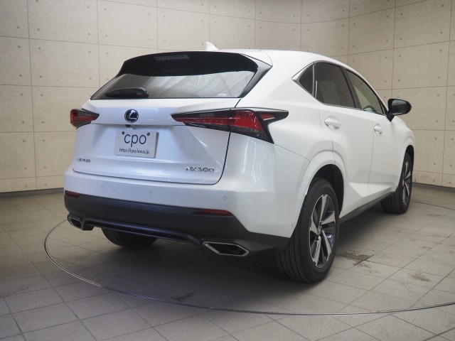 レクサス NX300 スパイク&シック