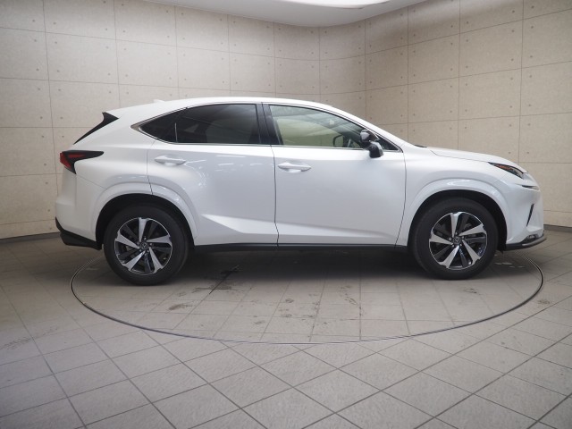 レクサス NX300 スパイク&シック