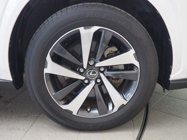 レクサス NX300 スパイク&シック