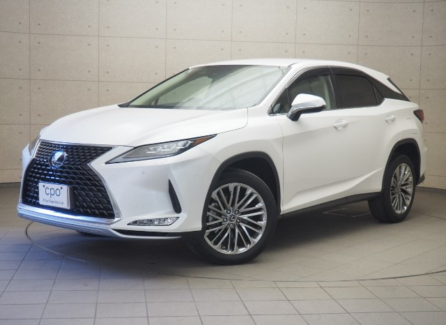 RX300 ヒョウジュンシャ