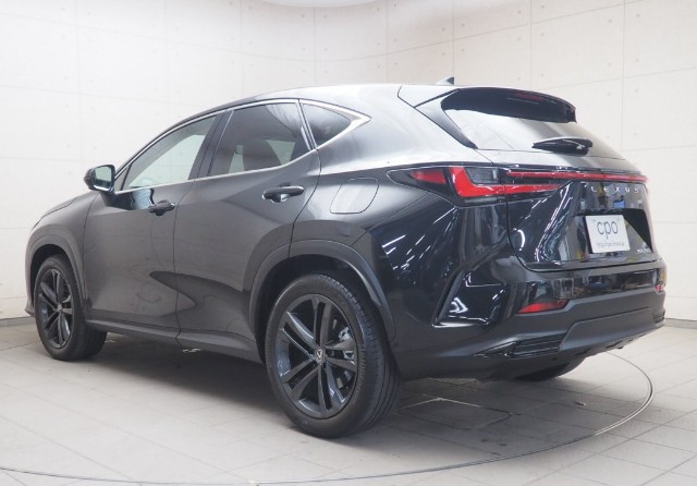 レクサス NX250 バージョンL