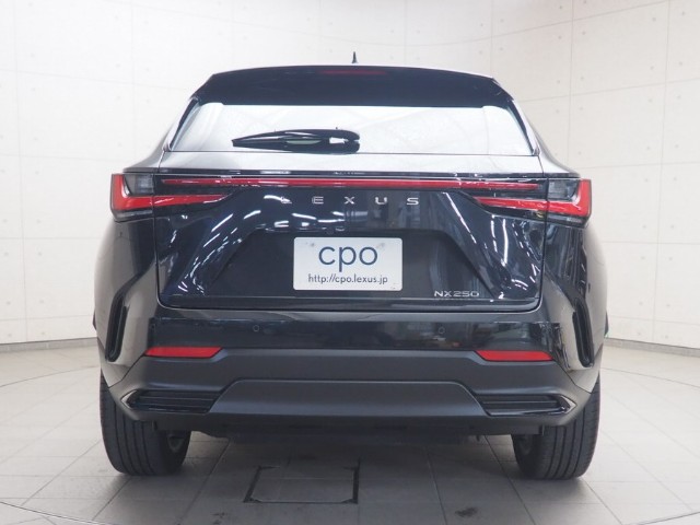 レクサス NX250 バージョンL