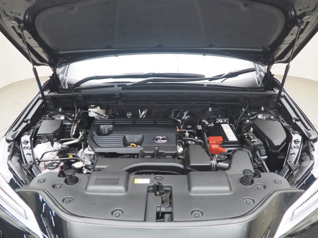 レクサス NX250 バージョンL