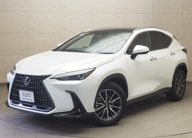NX350h ヒョウジュンシャ
