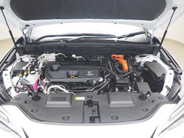 レクサス NX450h+ Fスポーツ