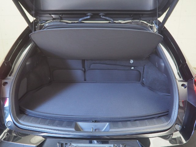 レクサス UX250h Fスポーツ