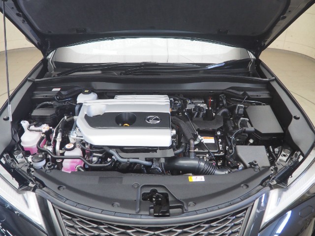 レクサス UX250h Fスポーツ