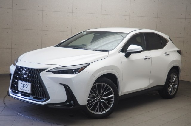 NX350h バージョンL