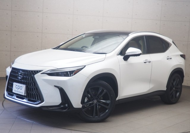 NX350h バージョンL