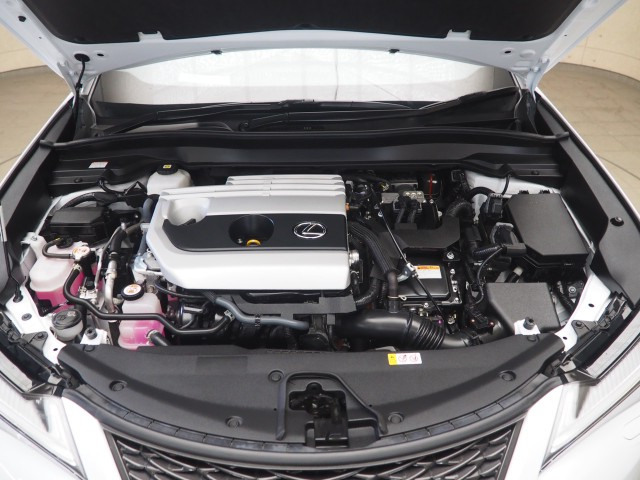 レクサス UX250h Fスポーツ