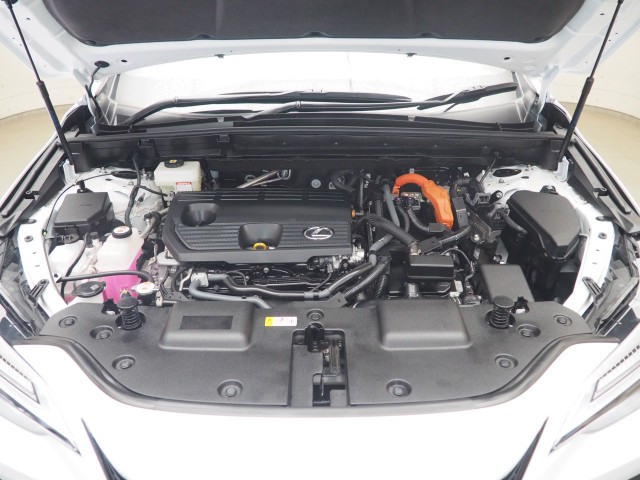 レクサス NX350h Fスポーツ