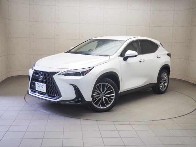 NX350h バージョンL