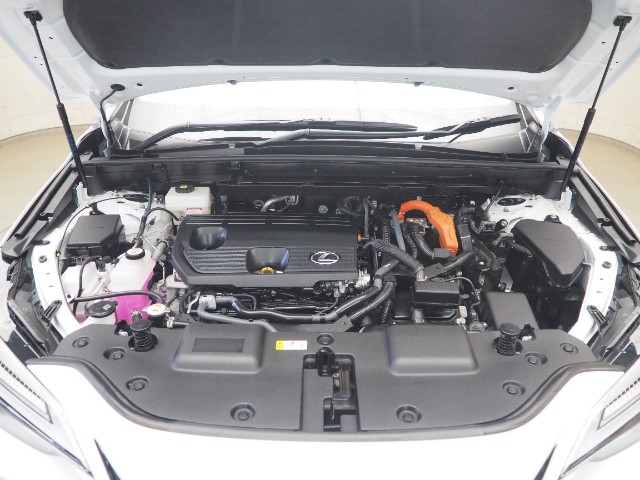 レクサス NX350h Fスポーツ
