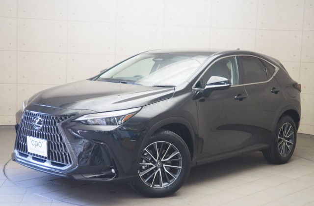NX350h ヒョウジュン