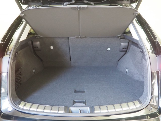 レクサス NX350h ヒョウジュン